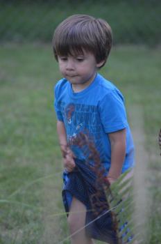 539518_10151115461182528_1393342114_n